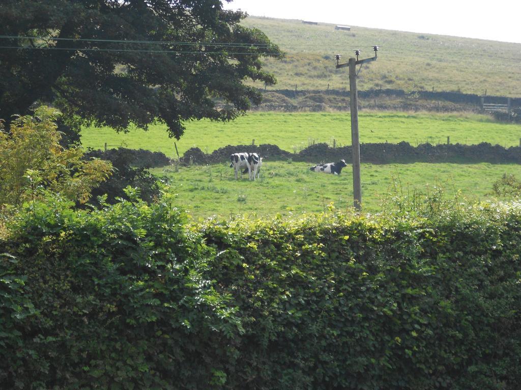 The Shady Oak B&B Whaley Bridge Εξωτερικό φωτογραφία